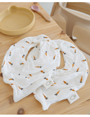 Lot de 2 Bavoirs Bandana...