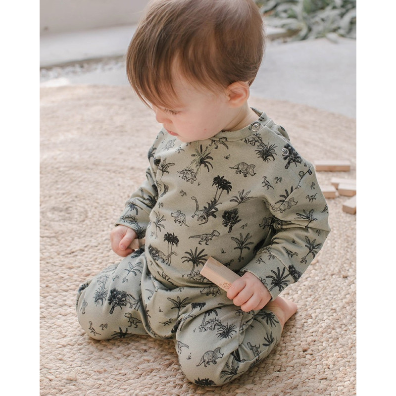 organice sweatshirt dinosaure